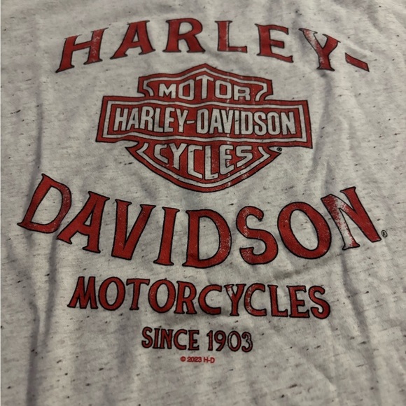 Harley-Davidson Grey T-Shirt with Red Logo Monroe, LA size large - Picture 2 of 7